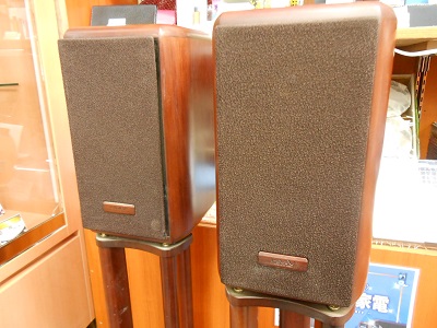 y1124.JPG
